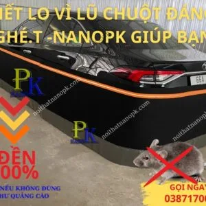 Cách Rào Lưới Chống Chuột Ô Tô 2023 - Tìm Hiểu Ngay Tại Noithatnanopk.com