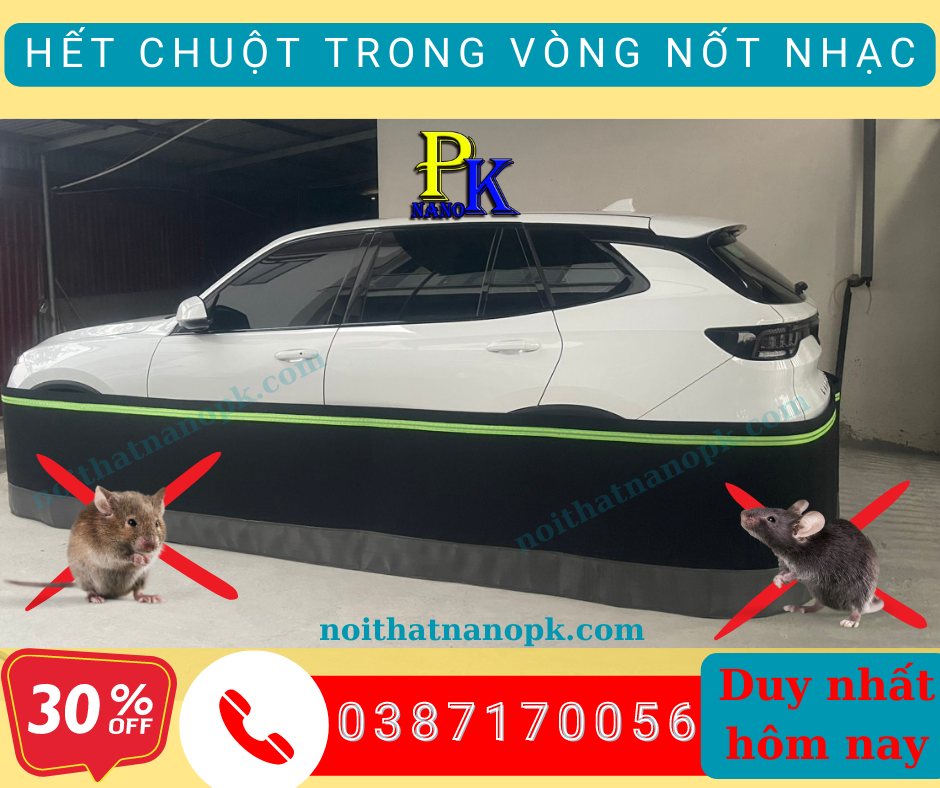 Địa chỉ bán lưới chống chuột ô tô uy tín tại Hà Nội giá rẻ
