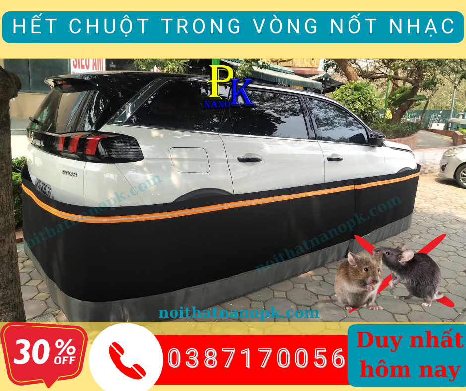 Địa chỉ bán lưới chống chuột ô tô uy tín tại Hà Nội giá rẻ -Lưới Chống Chuột Ô Tô Nanopk