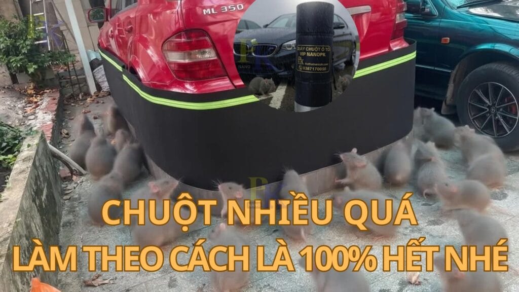Top Địa Chỉ Bán Quây Chống Chuột Ô Tô Uy Tín Tại An Giang: Bảo Vệ "Xế Yêu" Tuyệt Đối Cùng Nanopk - Giải Pháp Hàng Đầu! quay-chong-chuot-o-to-uy-tin-tai-an-giang-bao-ve-xe-yeu-tuyet-doi-cung-nanopk-giai-phap-hang-dau/