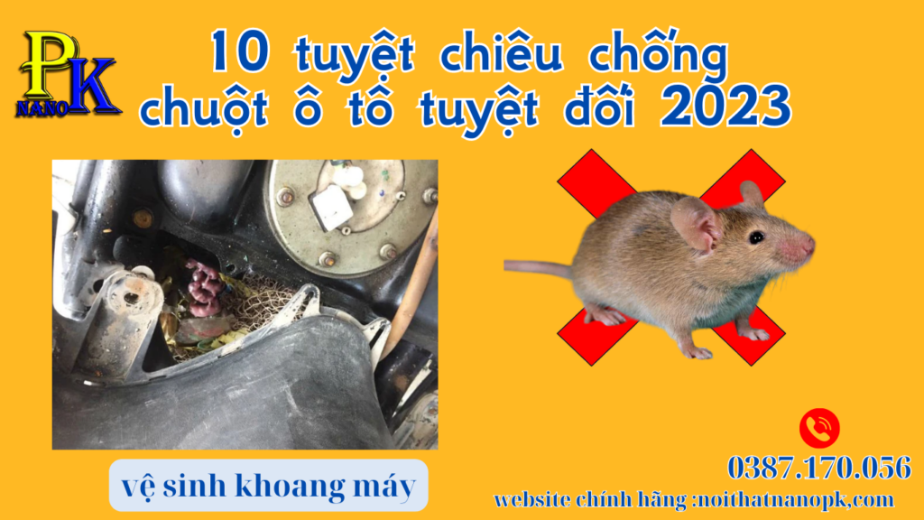 10 tuyet chieu chong chuot o to tuyet doi 2023 2