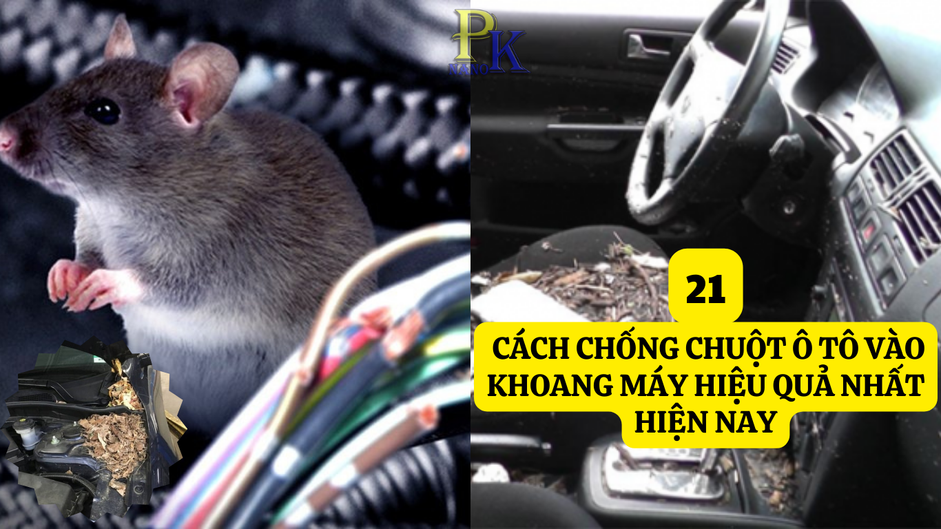 21 cách chống chuột ô tô vào khoang máy hiệu quả nhất hiện nay