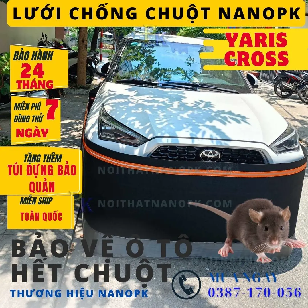 Cach chong chuot o to xe Lexus 350 Lexus 450 Lexus 600 bang Quay chong chuot o to Nanopk Nanopk 2