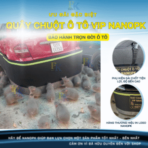 Giải Pháp Chống Chuột Cho Ô Tô Tại TP. Hồ Chí Minh
