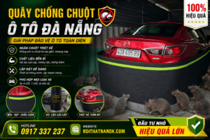 Quây Chống Chuột Ô Tô Đà Nẵng
