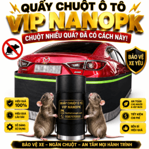 quay-chong-chuot-o-to-can-tho