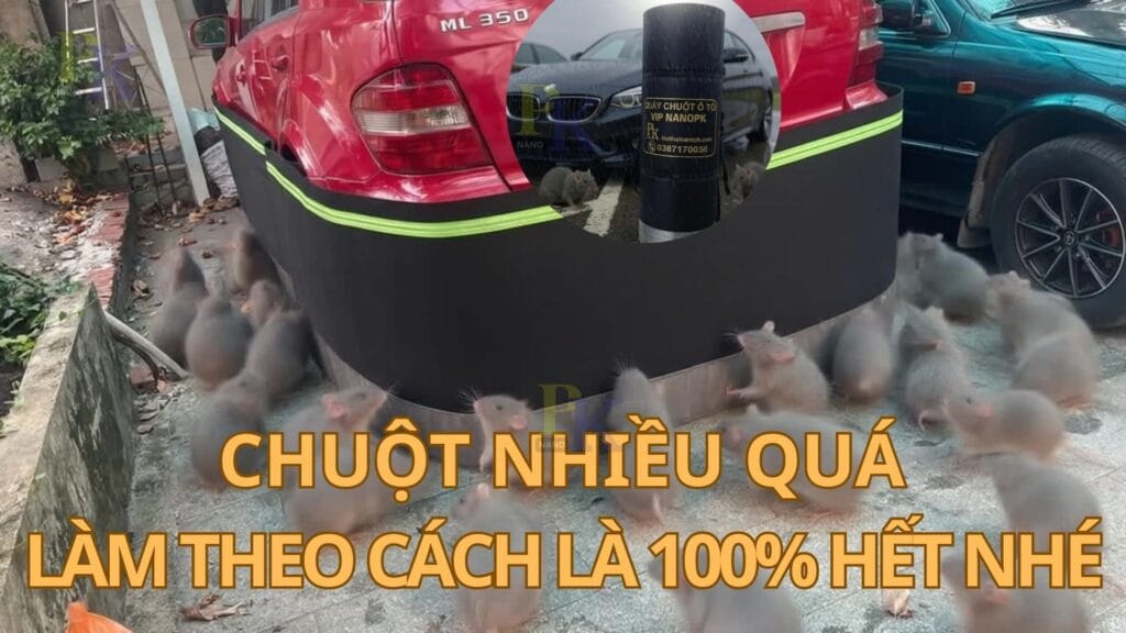Quây chống chuột ô tô là gì? Có thực sự hiệu quả không? Quây chống chuột ô tô