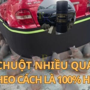 Quây Chống Chuột Ô Tô Toyota Vios NanoPK Quây Chống Chuột Mazda CX-5 NanoPK